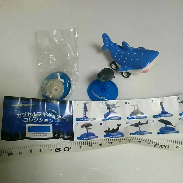 Amazon.co.jp: 沖縄美ら海水族館 美らカー プルバック ジンベエザメ